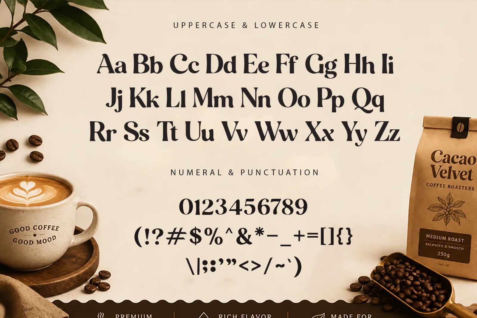 Cacao Velvet – Modern Elegant Serif Font (preview 4 of 5)