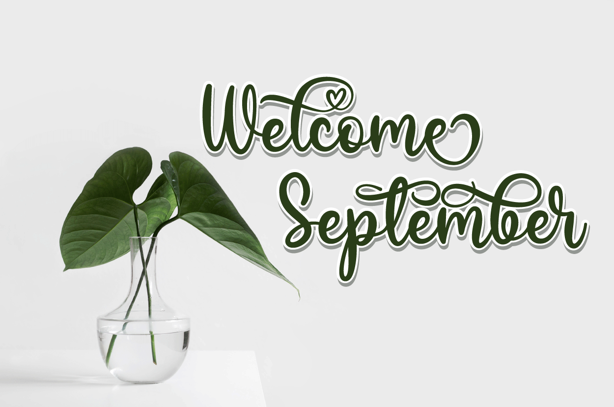 Valeska Lovely Script Font (preview 6 of 6)