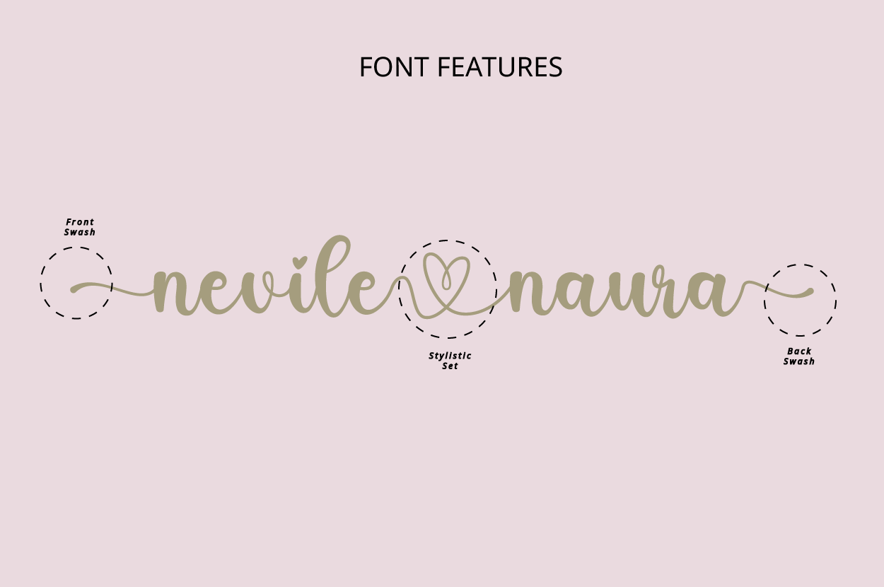 Bianca Script Font (preview 6 of 6)